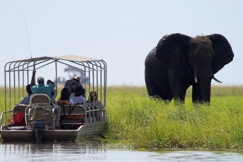 Chobe River Cruise